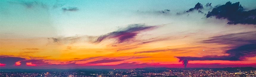 微山茶虫网_微山品茶